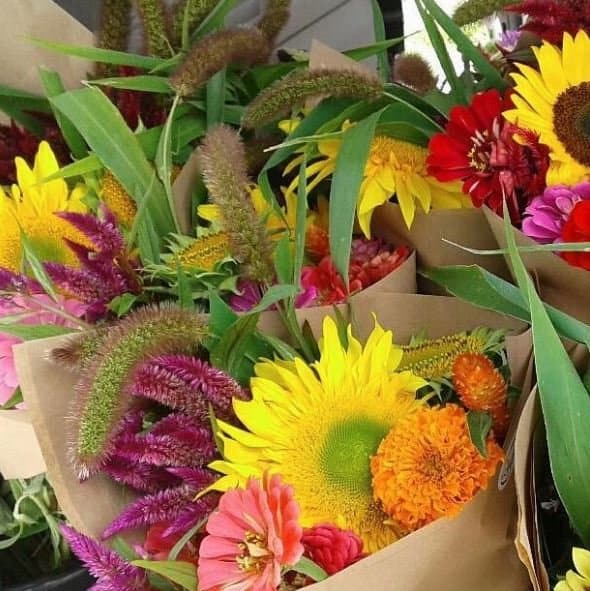 loose flowers feature