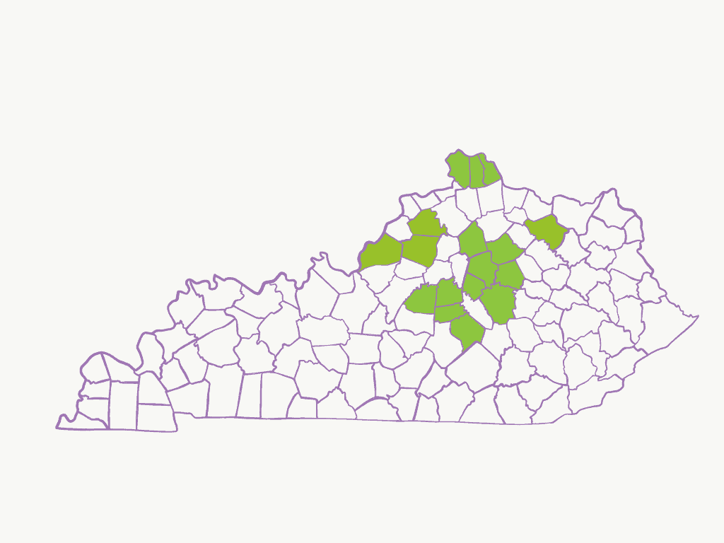 Map of where Handmade By Survivors products have been sold in KY