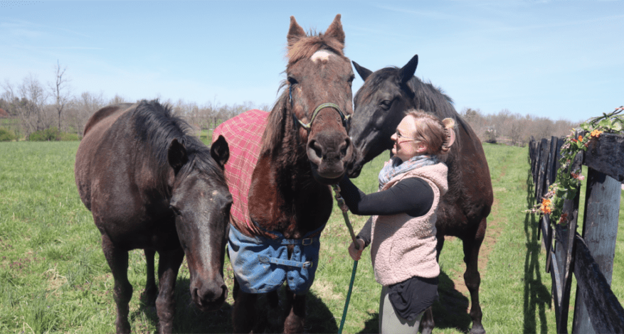 Lyndsay with three horses