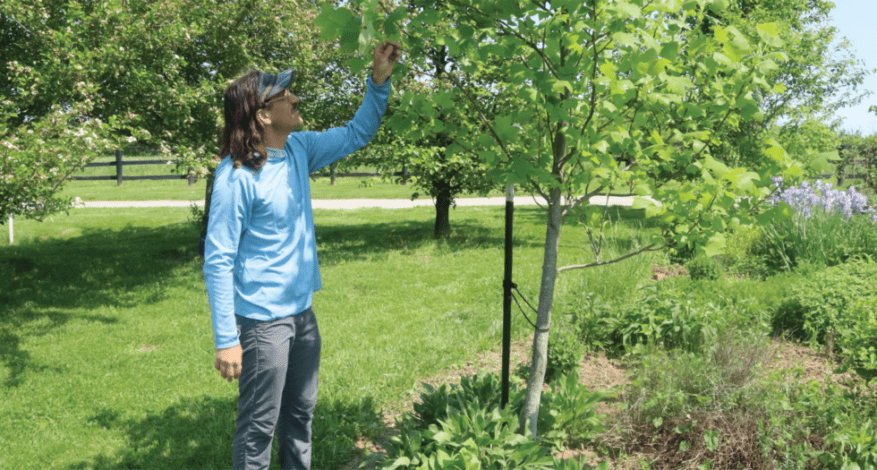 ryan admiring trees