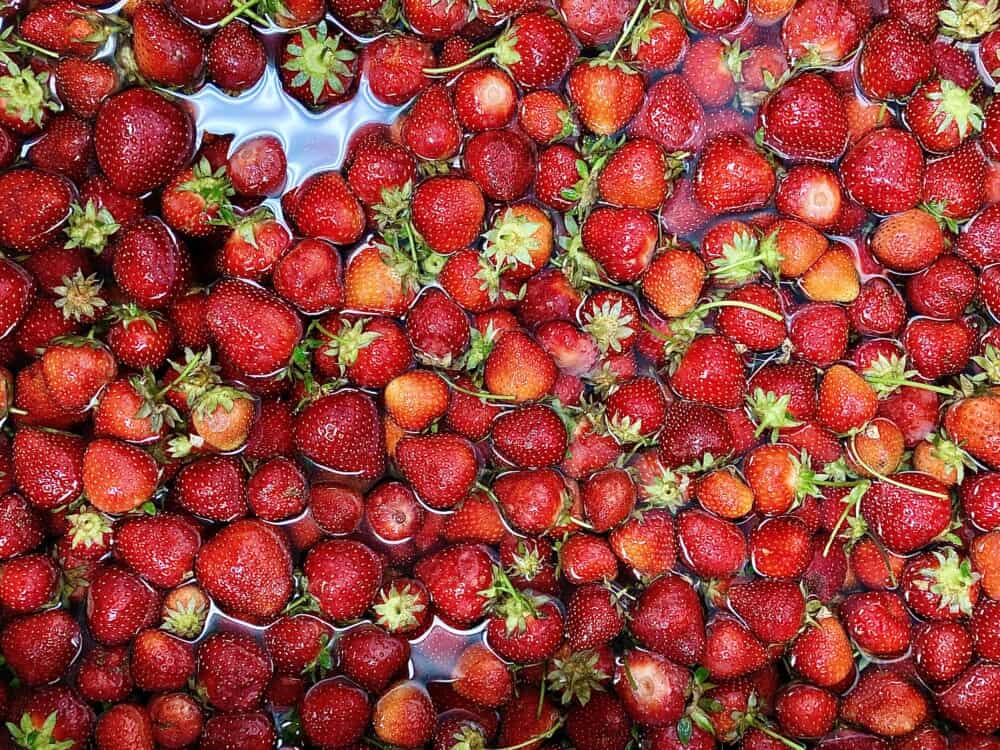 Autumn Farm Reflections GreenHouse17